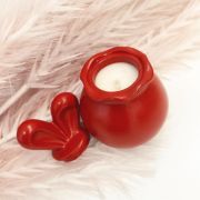 Κερί κουνελάκι